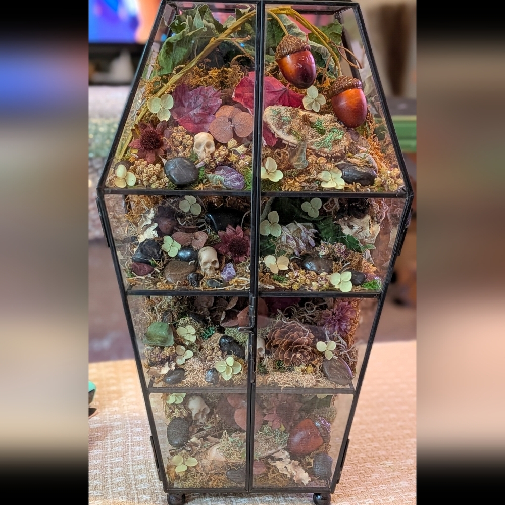 Handmade Glass Coffin Terrarium With Dried Florals, Plants, & Natural Elements.